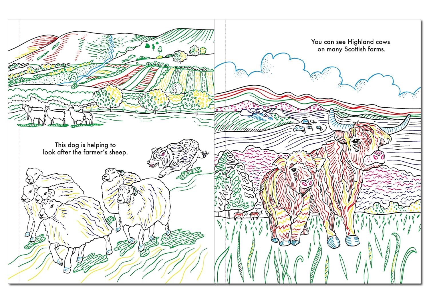 Scottish Farm Magic Painting Book inside spread showing paint with water farm scene