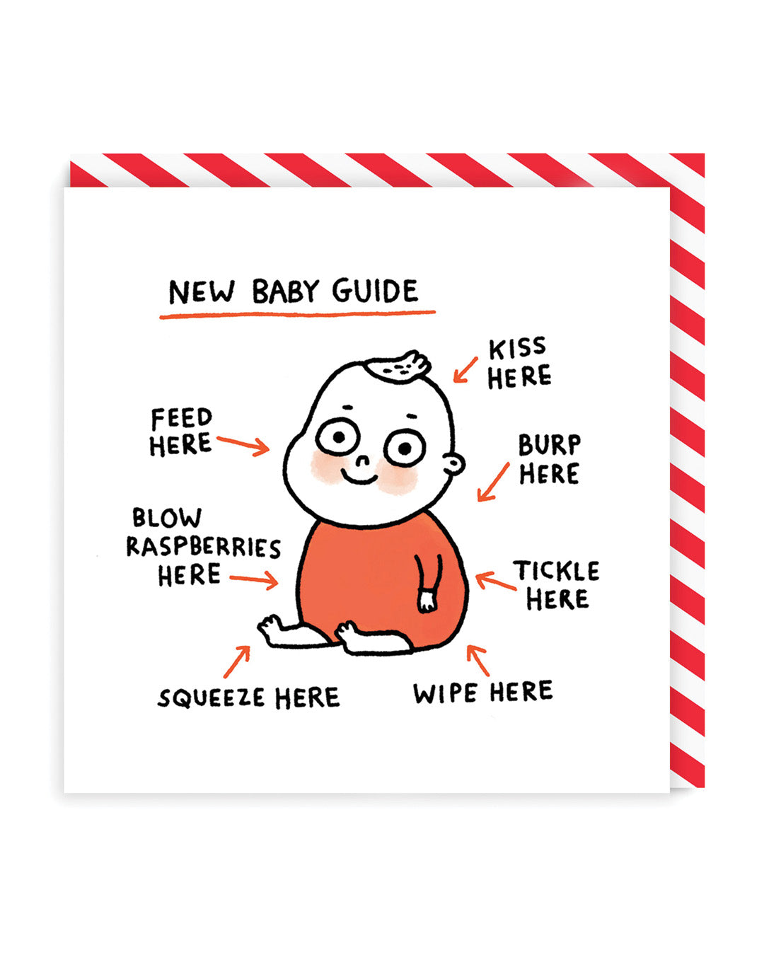 New Baby Guide Greeting Card (923)