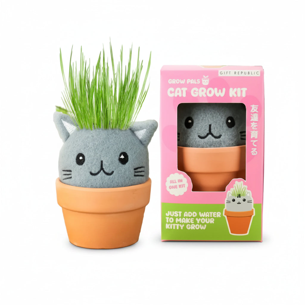 Cute cat-shaped grow kit in terracotta pot with green grass growing from head.
