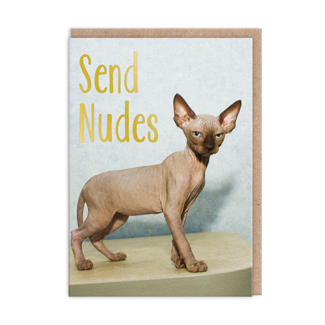 Send Nudes Greeting Card (9213)