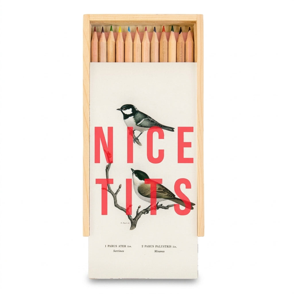 'Nice Tits' coloured pencils set with box, Art Wow on a clean white background