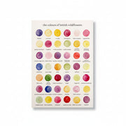 British wildflowers watercolour greetings card with 42 named colour swatches on kraft envelope