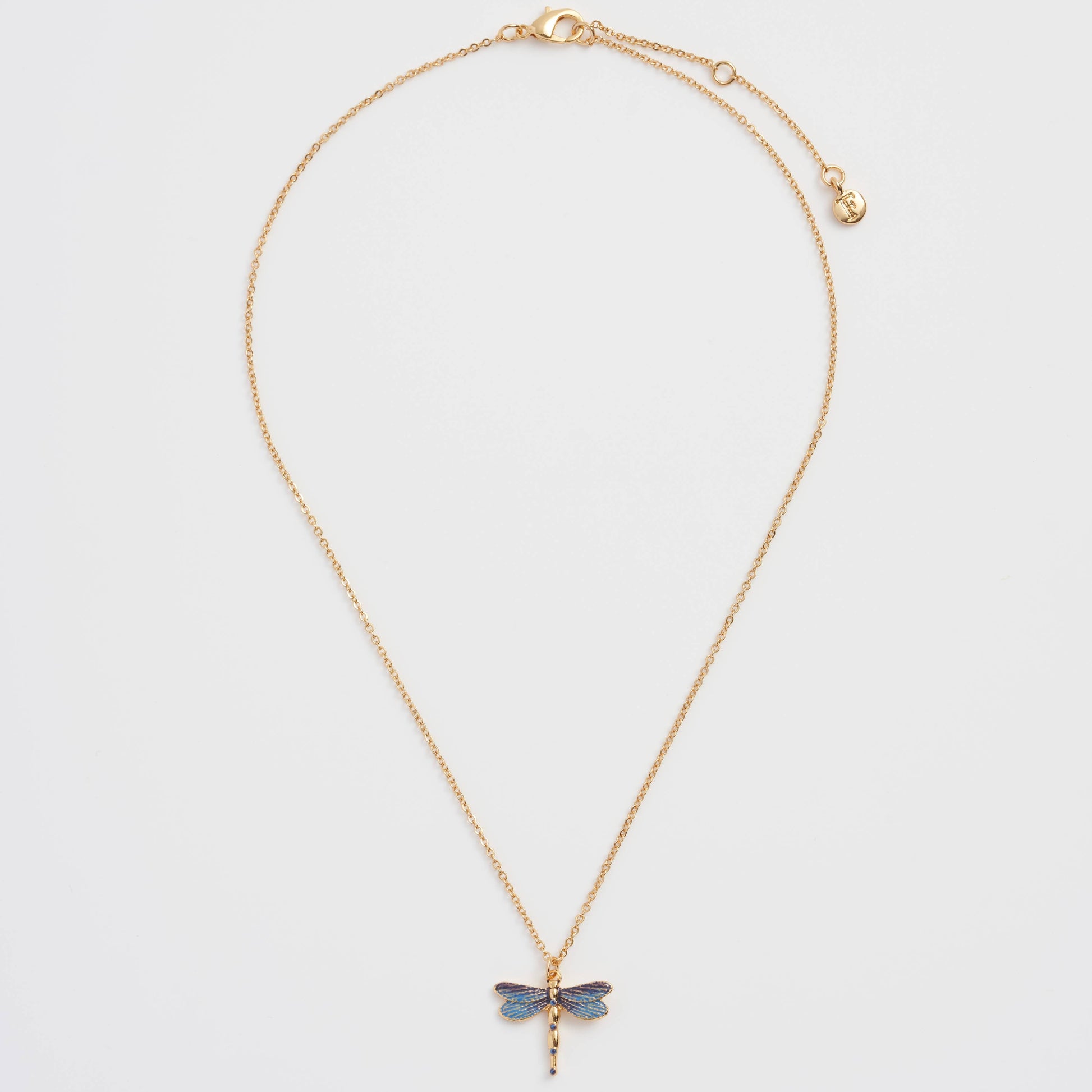 Dragonfly necklace full length on white showing clasp and extender chain