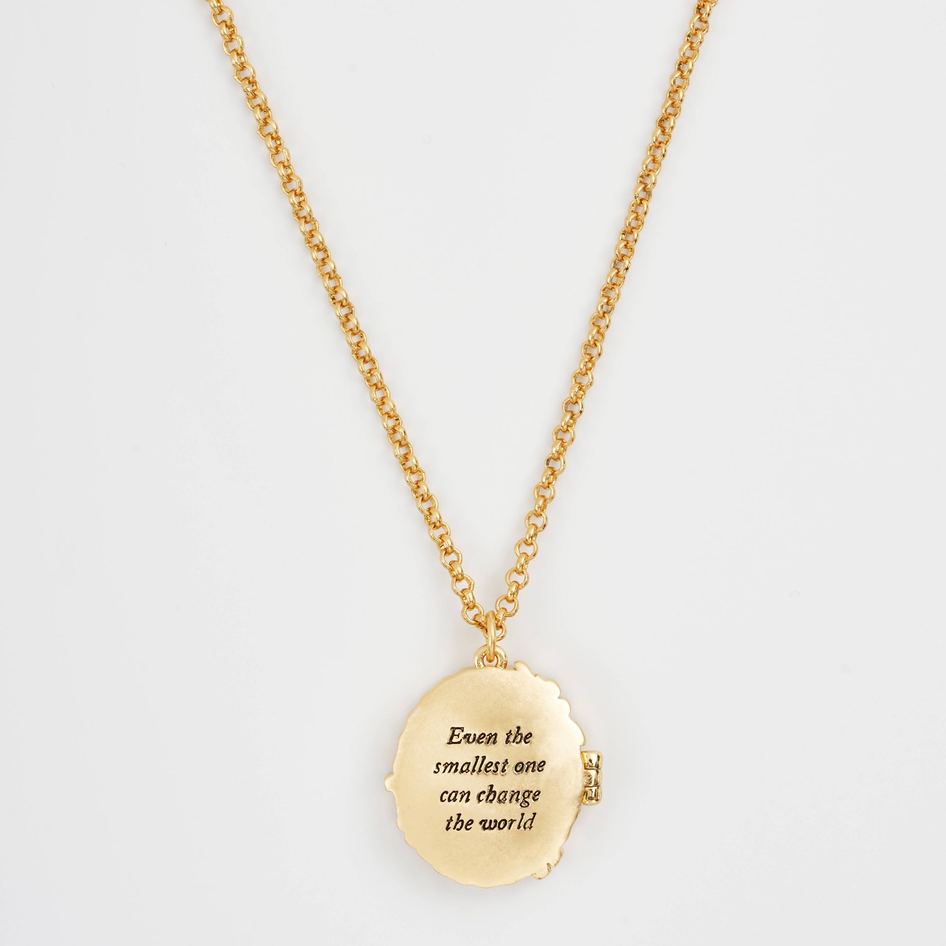 Peter Rabbit cameo locket reverse showing engraved quote on white background