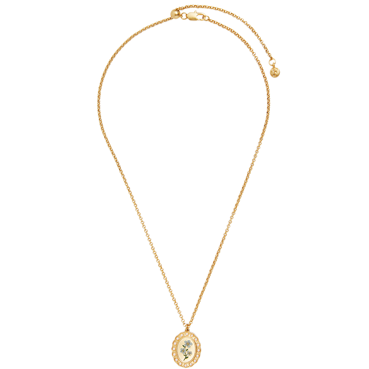 Forget Me Not Cameo Necklace draped to show the chain on white