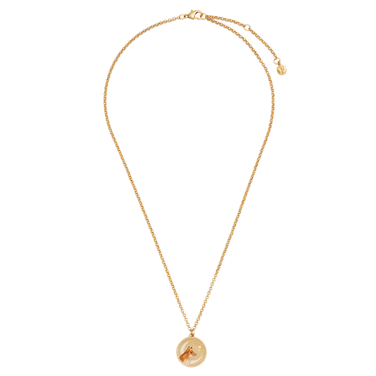 Fox Shadow Guide Necklace shown at an angle on white
