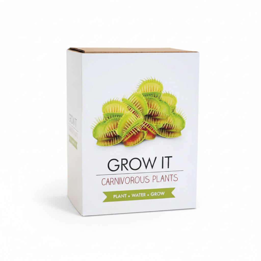 Carnivorous Plants Grow It gift box showing Venus flytraps