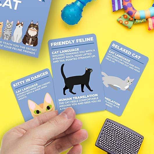 How To Speak Cat cards held in hand over yellow background with cat toys