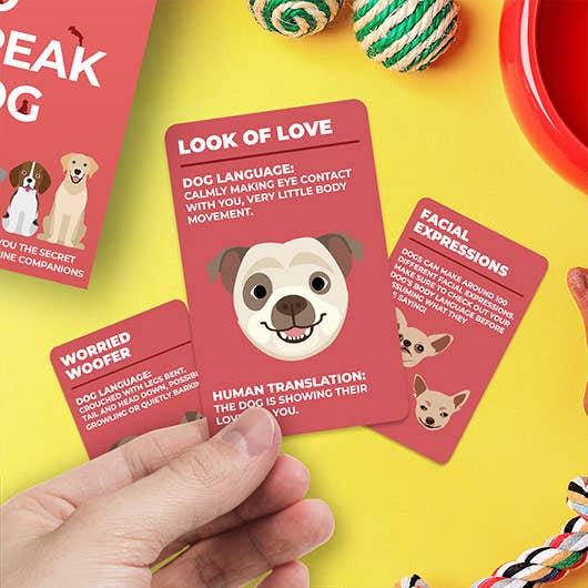 How To Speak Dog cards held in hand above yellow surface with dog toys