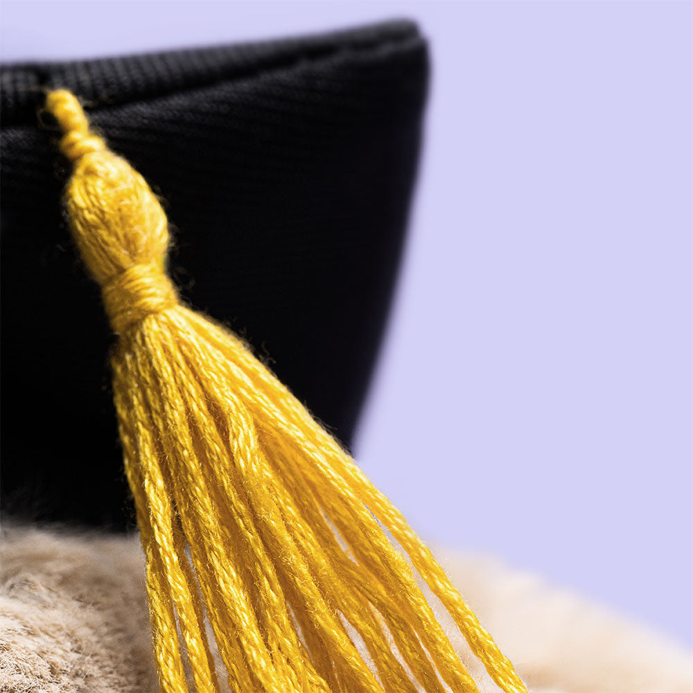 Close-up of golden graduation tassel on black mortar board