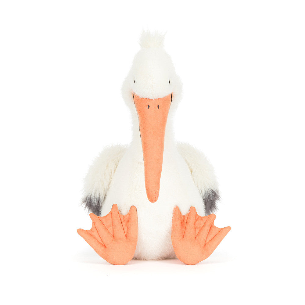 Close-up of Keli Pelican gentle face and beak