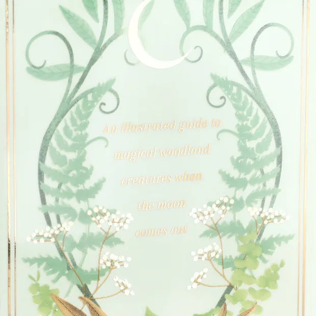 Back cover of book vase showing crescent moon and fern illustrations