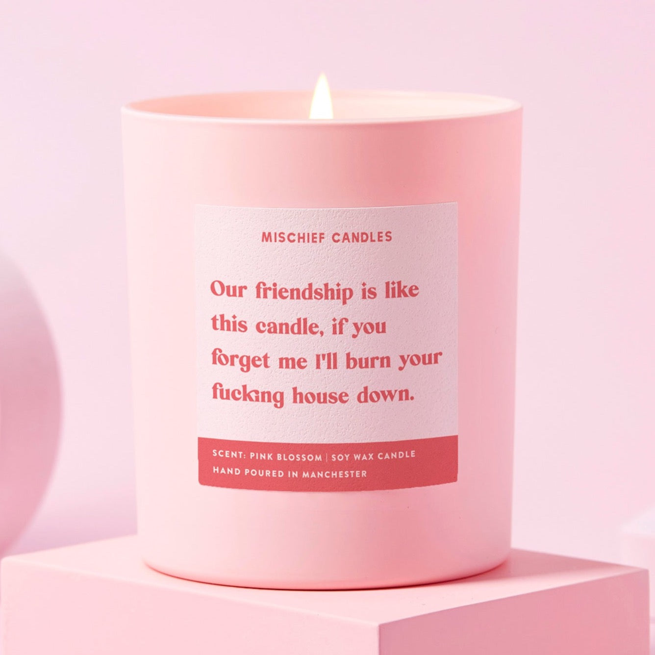 Our Friendship Is Like candle in pink jar lit against pink background