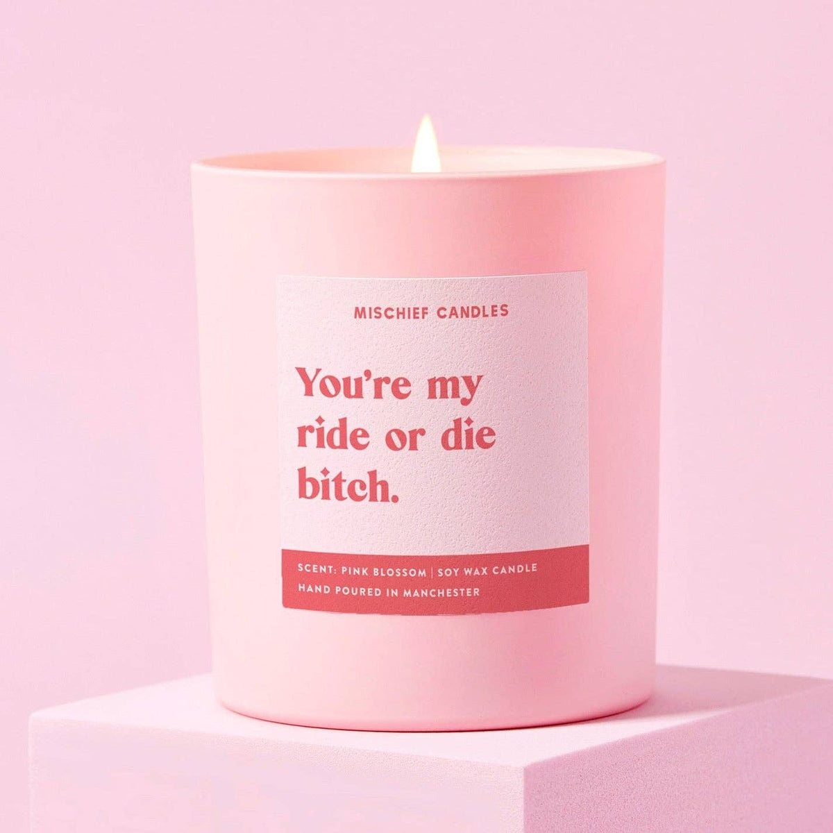 You're my ride or die bitch funny candle in a pink glass jar, lit on a stand