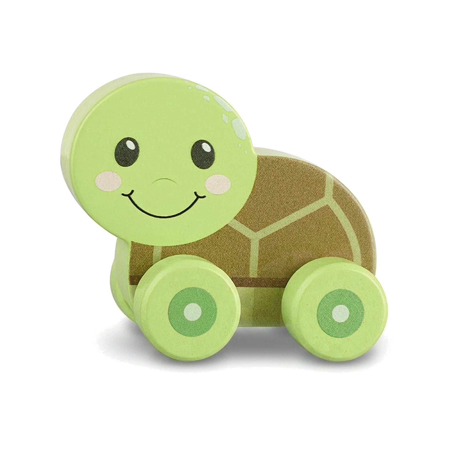 Green wooden turtle push toy on a pure white background