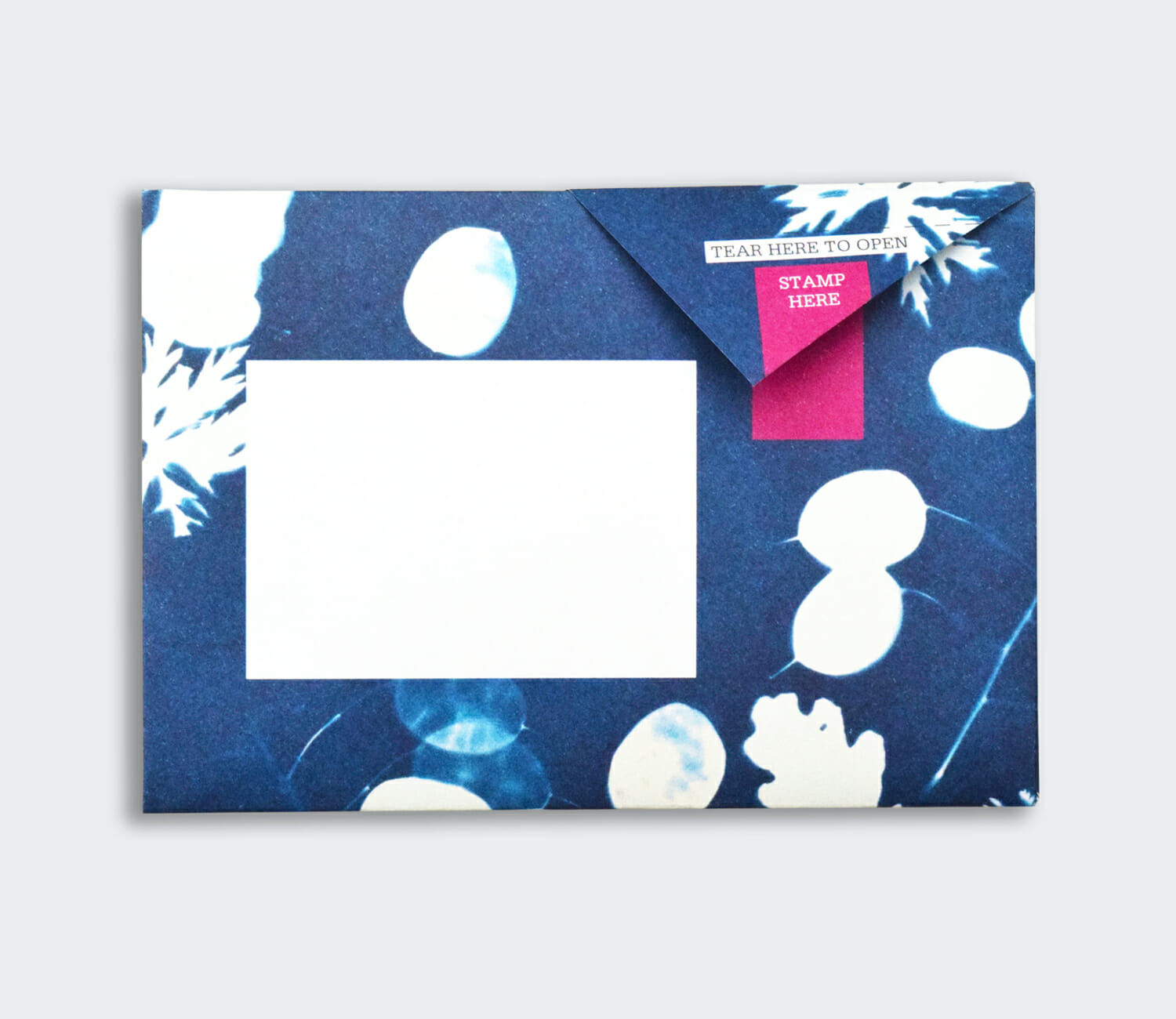 Folded Pigeon letter back showing blue cyanotype fern design with address section