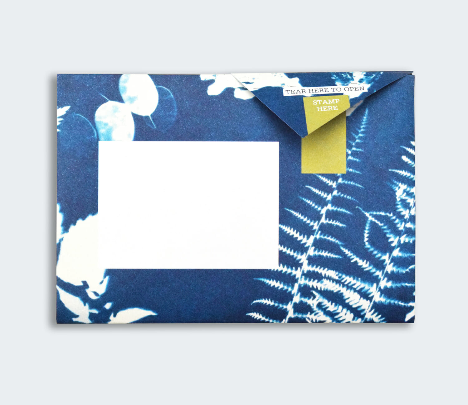 Folded Pigeon letter front with blue cyanotype botanical leaf design