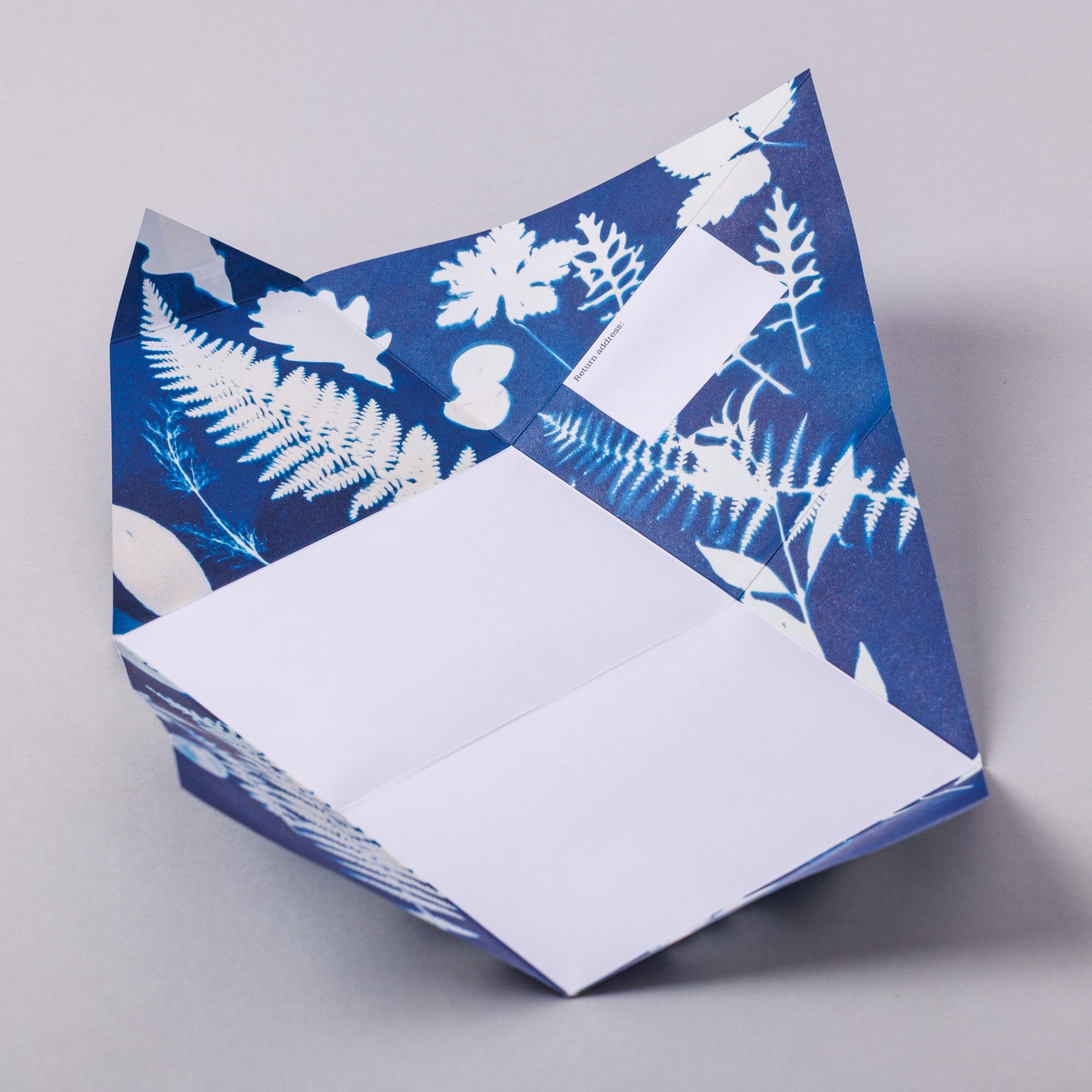 Unfolded Apothecary Pigeon showing blue botanical cyanotype interior on grey background