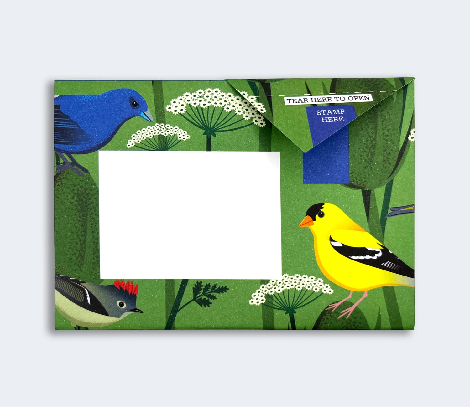 Folded Pigeon letter with bright bird design on blue background first variant