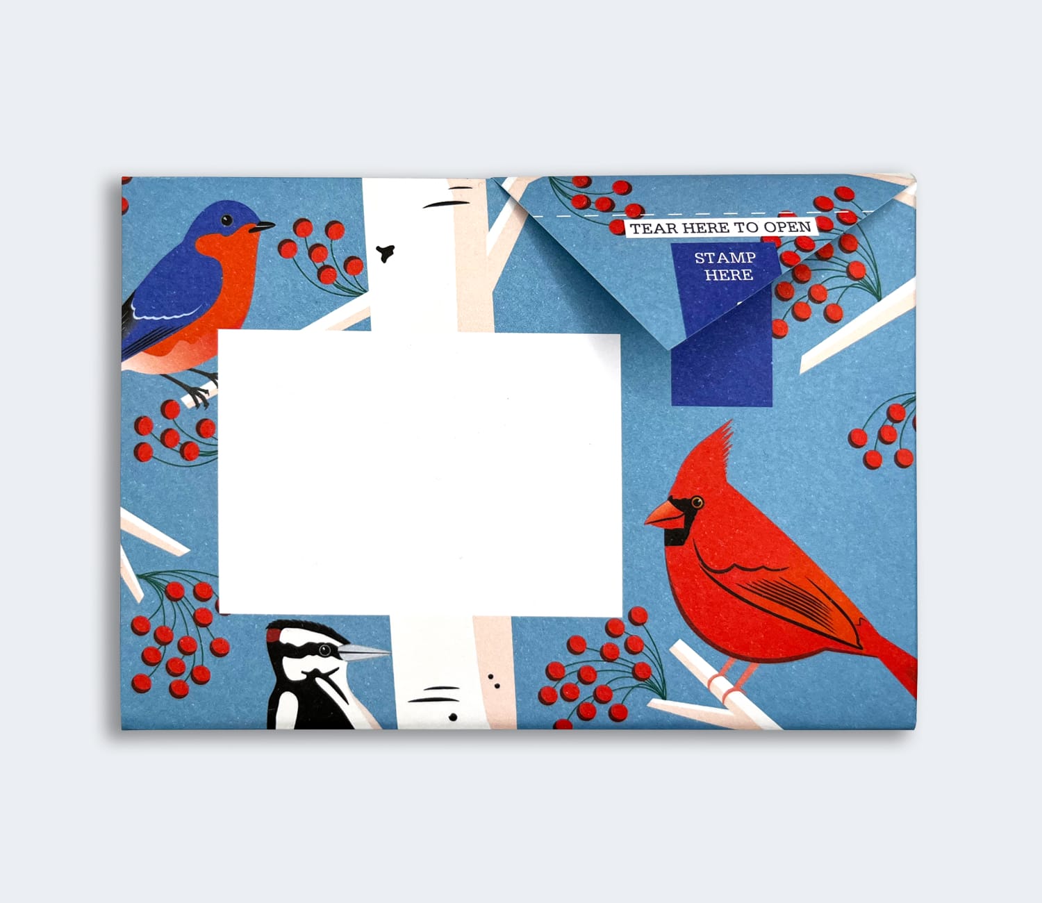 Folded Pigeon letter with colourful bird illustration second design variant