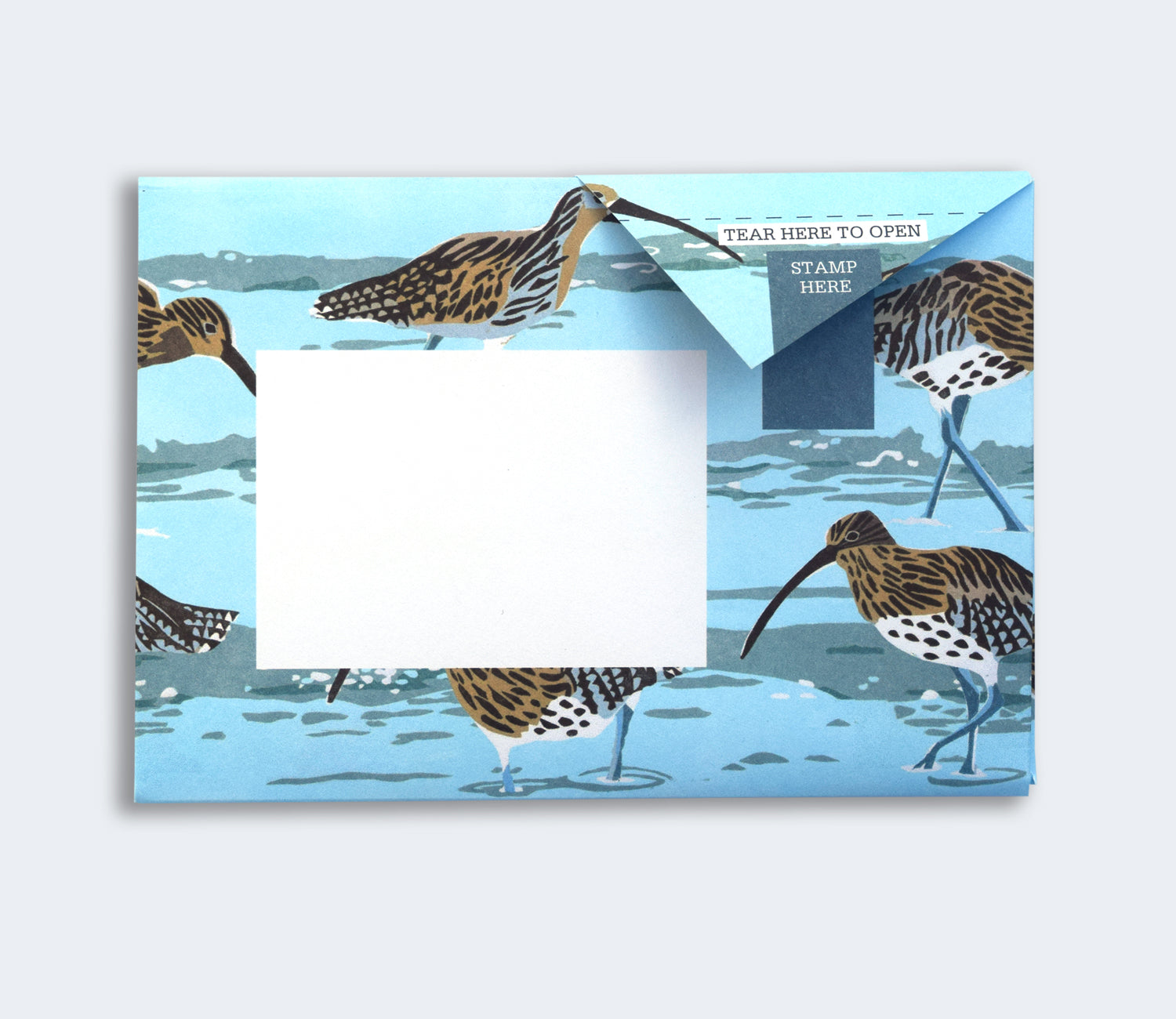 Folded Pigeon letter with oystercatcher on light blue background first variant