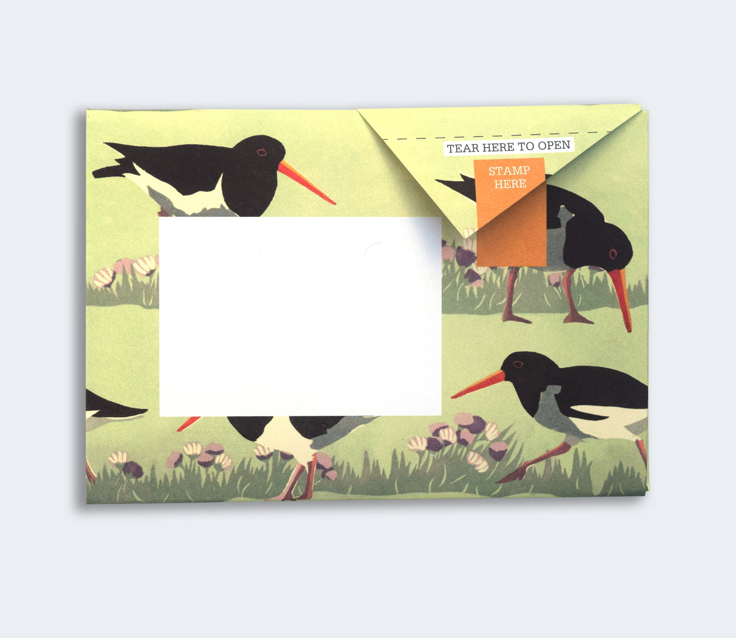 Folded Pigeon letter with wading bird coastal illustration second variant