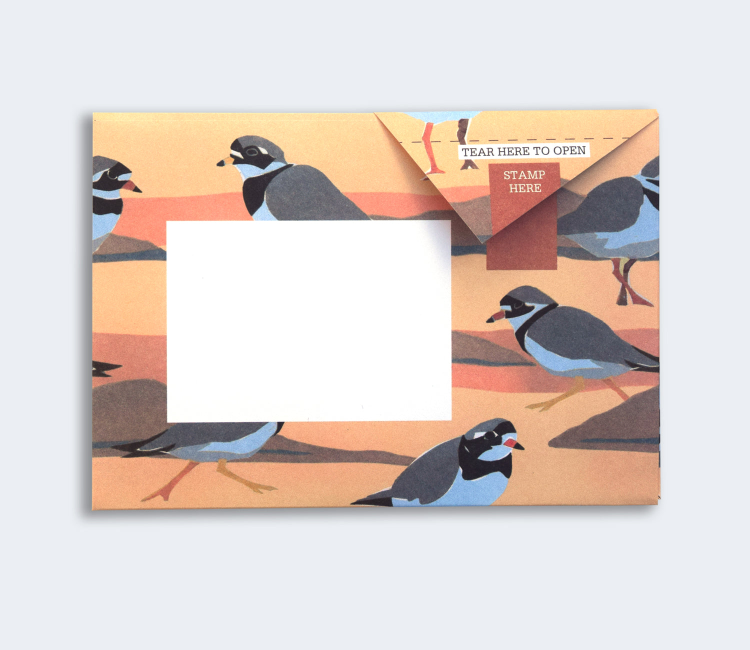 Folded Pigeon letter with ringed plover design third variant on light blue