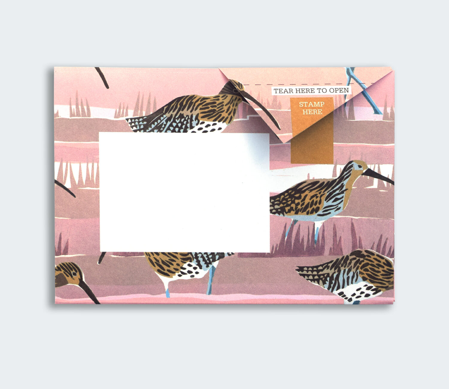 Folded Pigeon letter with coastal bird illustration sixth design variant