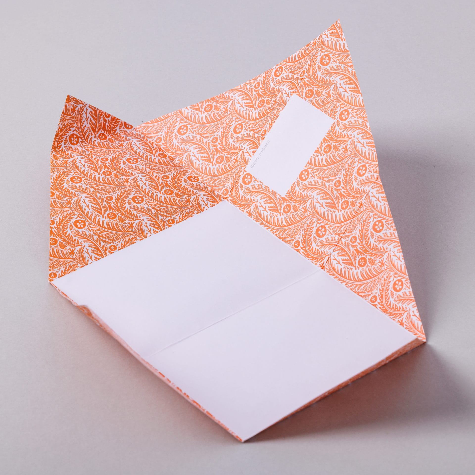Unfolded Nature Study Pigeon with white botanical art on orange interior