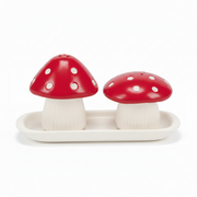 Mushroom salt and pepper shakers with ceramic tray beside illustrated Rex London gift box