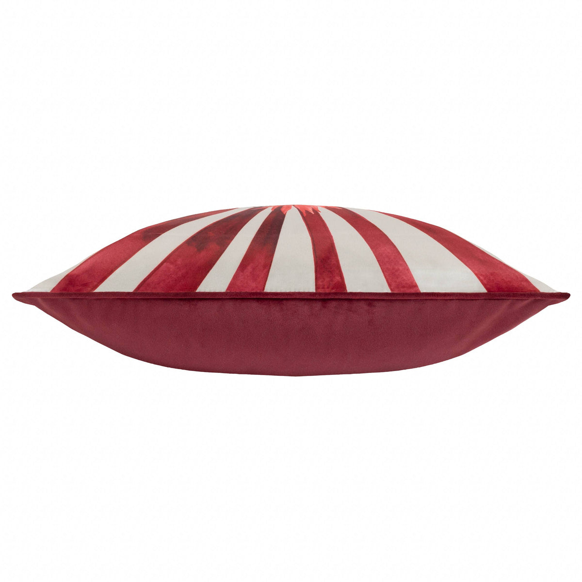Amor Eterno cushion side view showing red piping