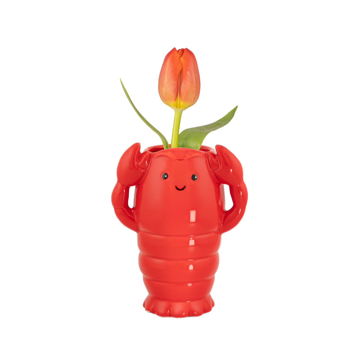 Red lobster vase holding a single orange tulip stem, on white background
