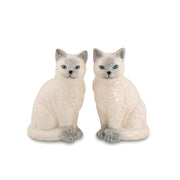 Ragdoll Cat Salt and Pepper Shakers with blue eyes on a pure white background