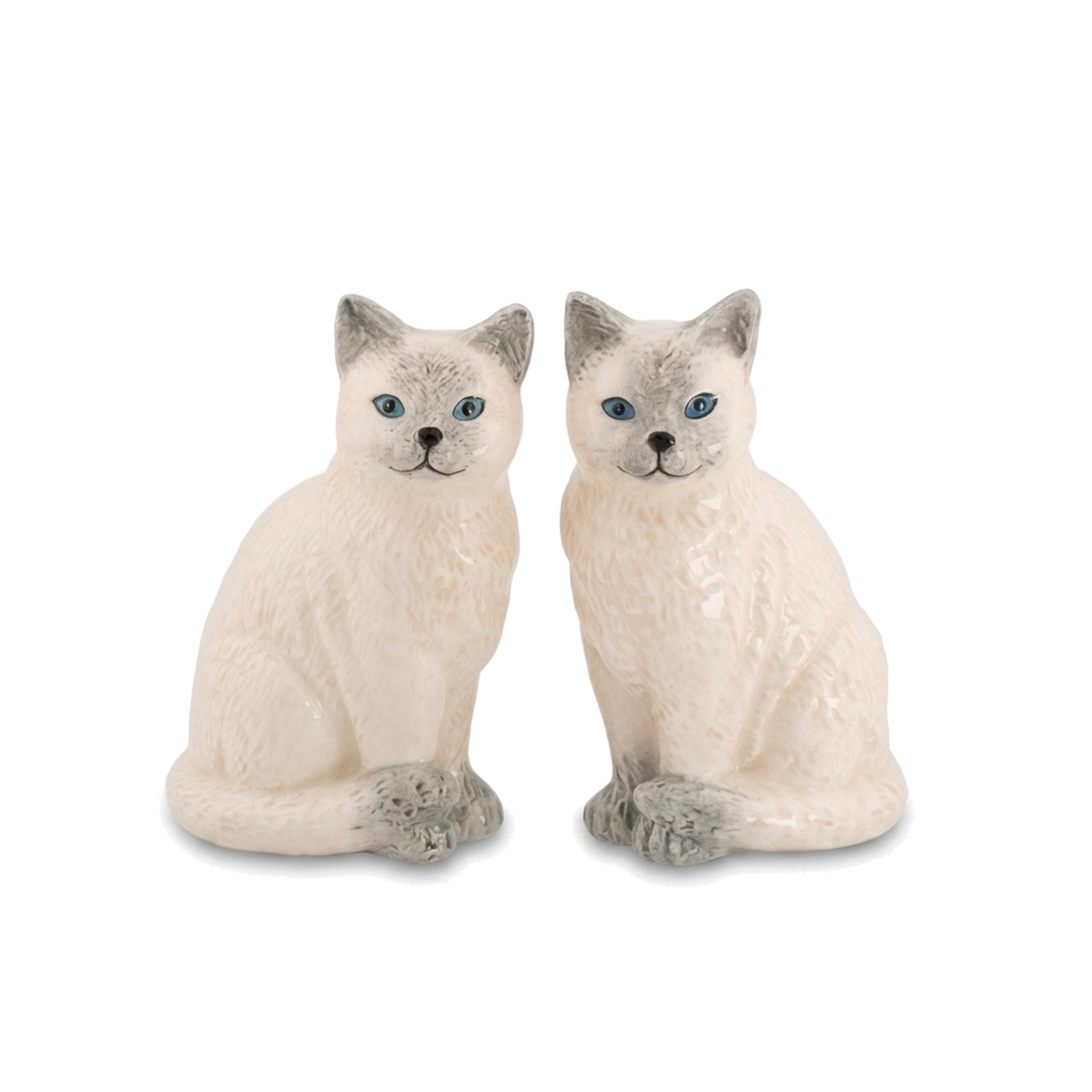 Ragdoll Cat Salt and Pepper Shakers with blue eyes on a pure white background