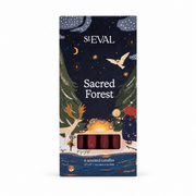 Sacred Forest Mini Festive Candles, Pack of 6 in illustrated box on a cream background